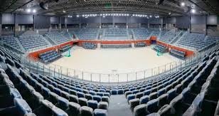 综合体育用户关注榜 热度最高项目排行