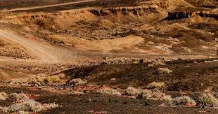 2025 赛季回顾：山本由伸在对阵洋基时投出 7 局 10 三振，成为其赛季代表作