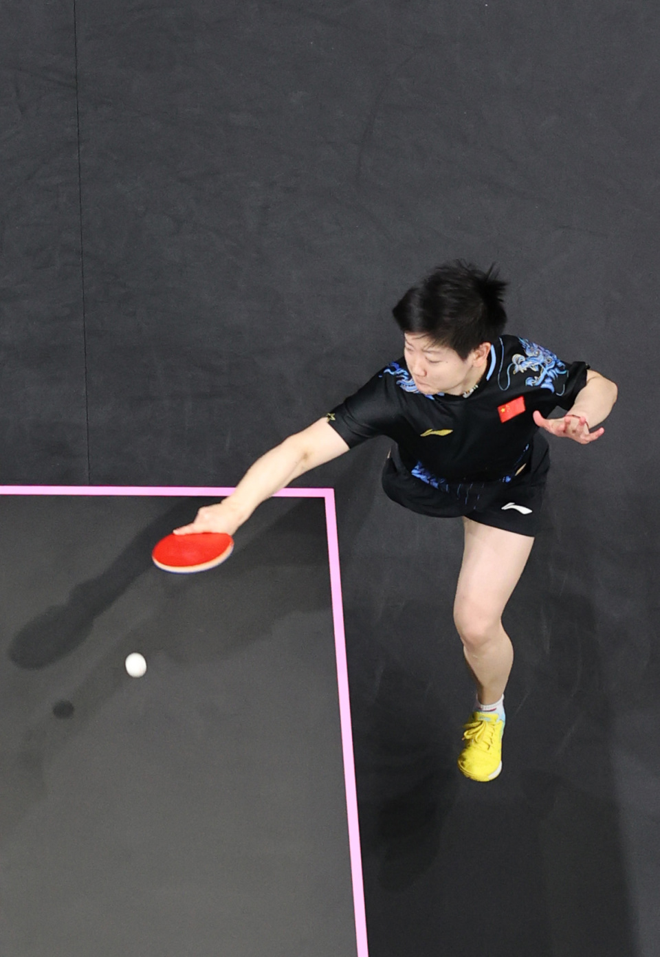 智夺大满贯 智夺大满贯